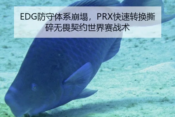 EDG防守体系崩塌，PRX快速转换撕碎无畏契约世界赛战术